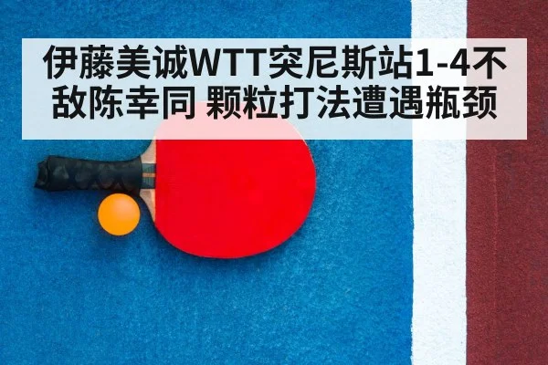 table tennis racket